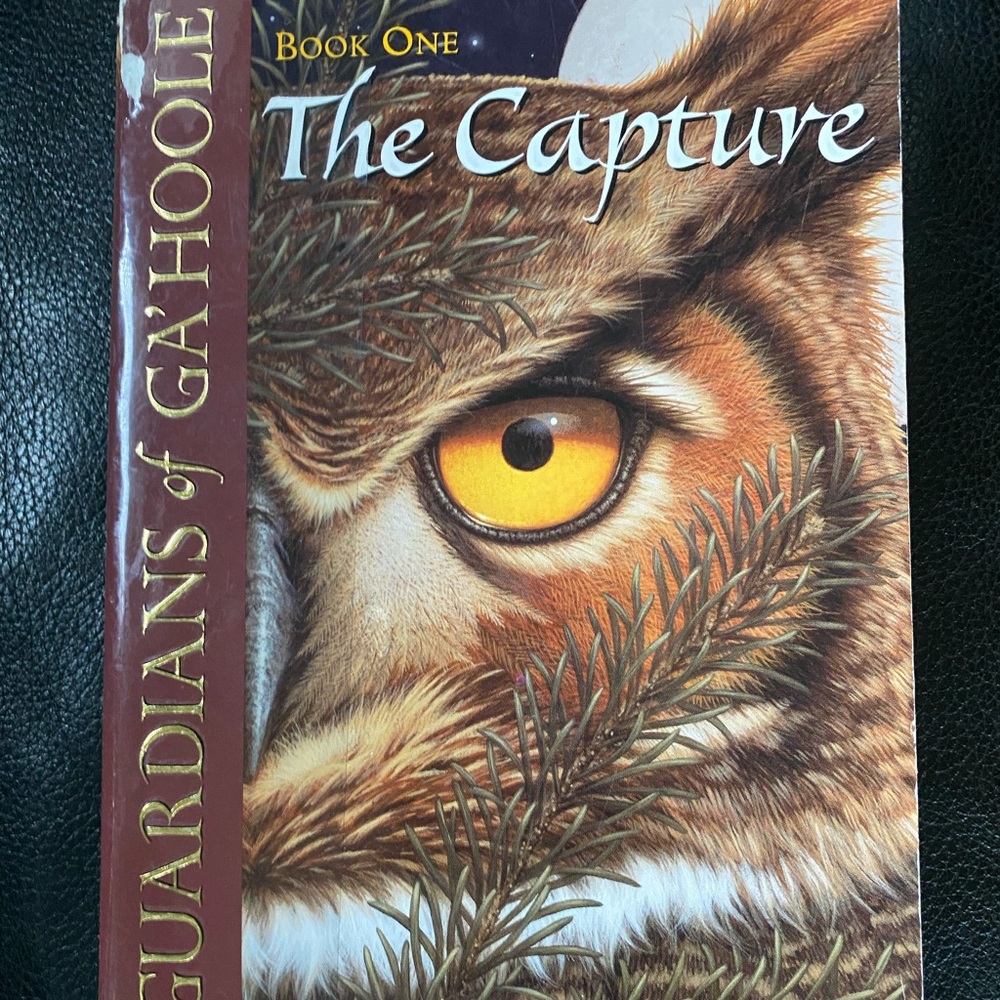 The Capture Novel